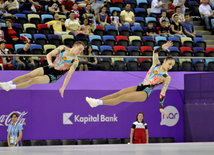 Avropa Oyunları çərçivəsində aerobika gimnastikası üzrə final yarışları. Bakı, Azərbaycan, 21 iyun 2015